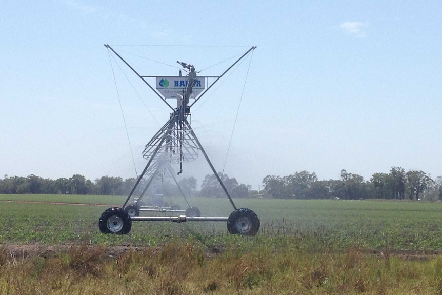A linear irrigator on wheels sprays water across a field.