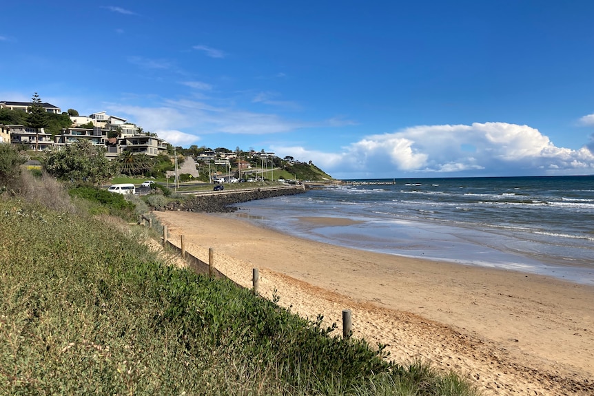 A stretch of beach on a sunny day, with some homes visible along a rolling hill.