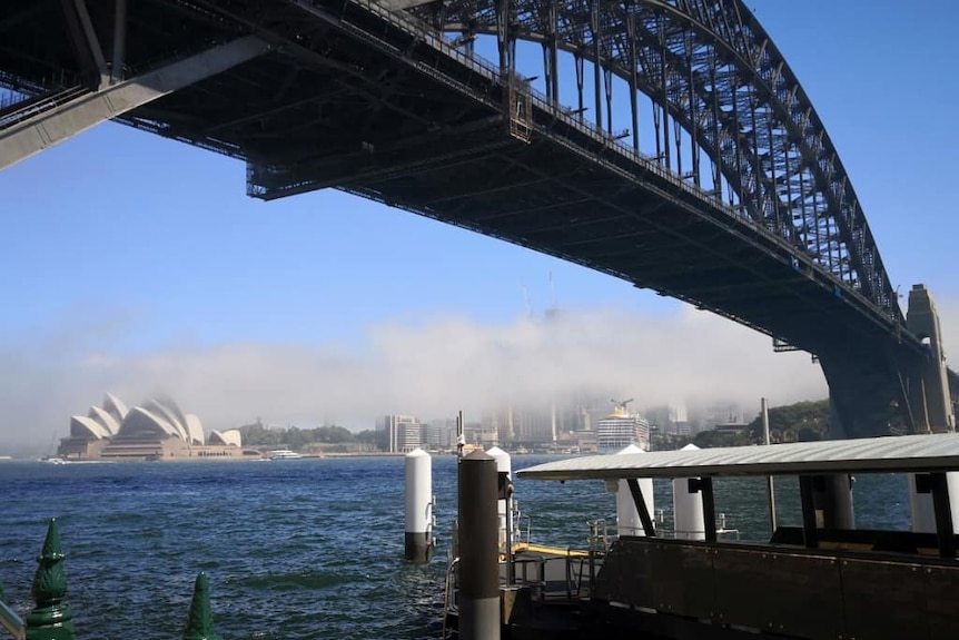 fog seen over the opera house