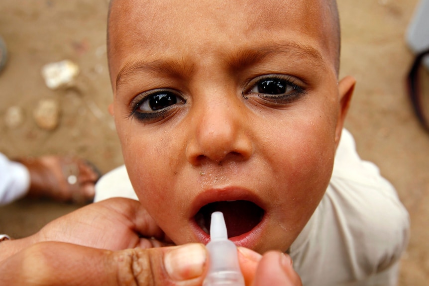Close-up image of child being given oral polio vaccine in Afghanistan.