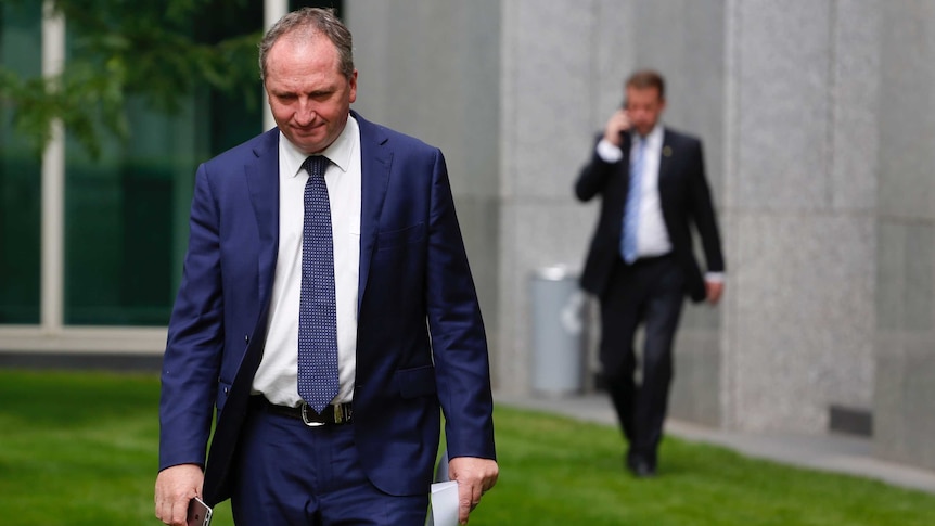 Deputy Leader Barnaby Joyce walks in the courtyard of Parliament House with his head down
