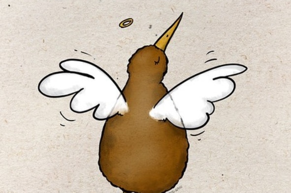 A drawing of a kiwi with angel wings and halo