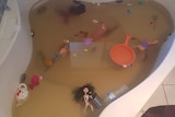 A spa bath with toys floating in brown water.