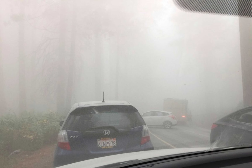 The photo is taken from inside a car, looking out into a foggy forest and a blue car driving in front of it.