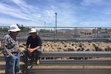 Farmers sit on a fence a stockyard