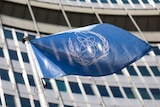 The blue flag of the International Atomic Energy Agency waves.