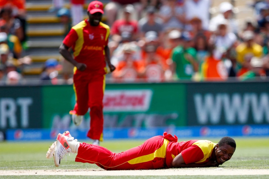 Zimbabwe's Tinashe Panyangara celebrates the wicket of South Africa's Hashim Amla in Hamilton.