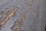 A long stretch of road showing bitumen cracking. The road is surrounded by vineyards