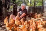 A woman with white hair sits and grins amongst a flock of about 20 orange brown chickens 