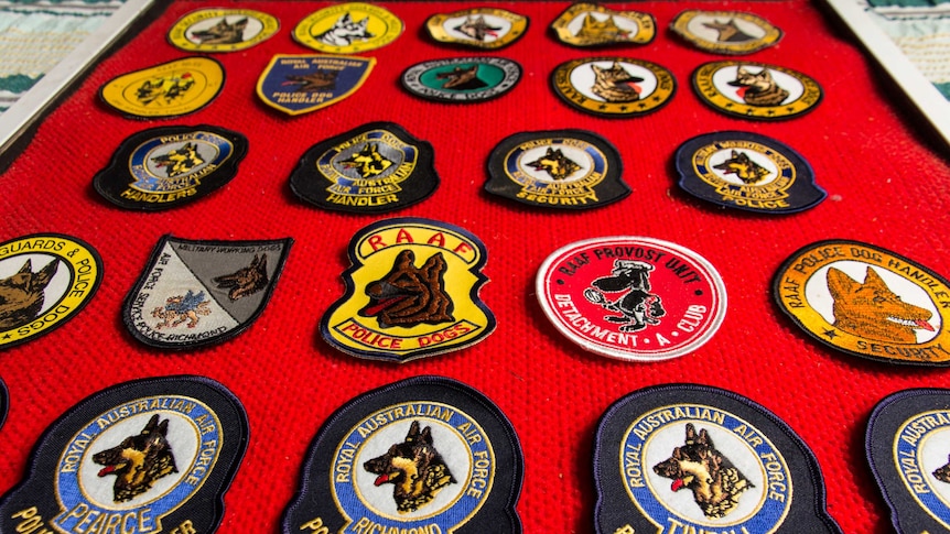 Close-up of patches on a red board.