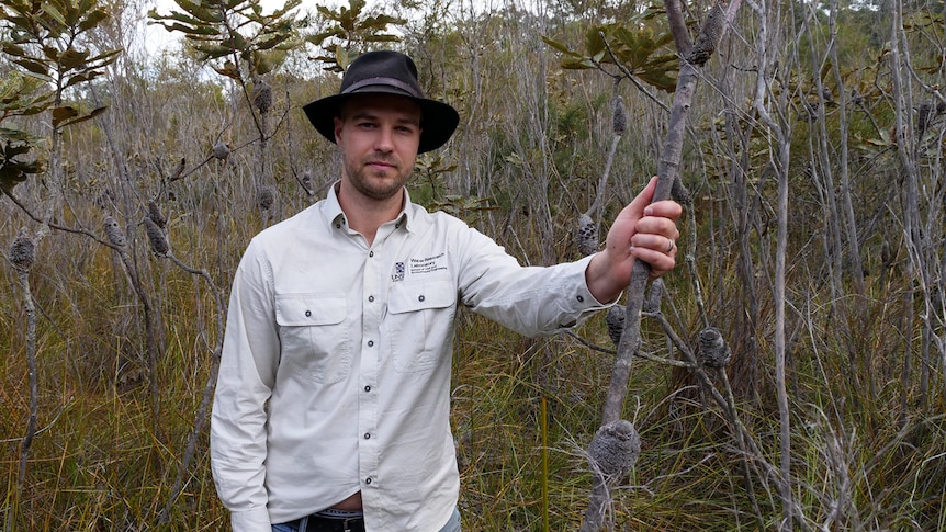 Duncan Rayner holds a tree trunk while standing in a swamp in the Cordeaux Dam catchment area.