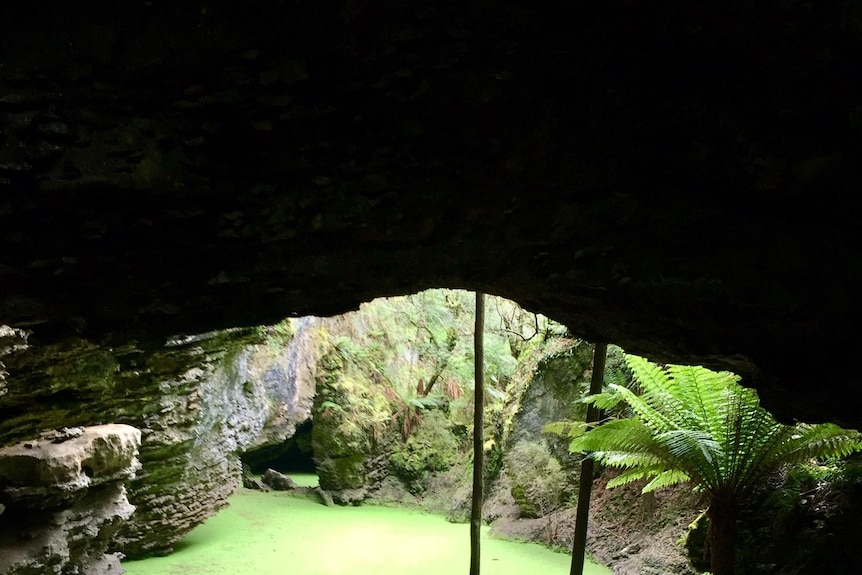 Picture of a large rock with a green sink hole