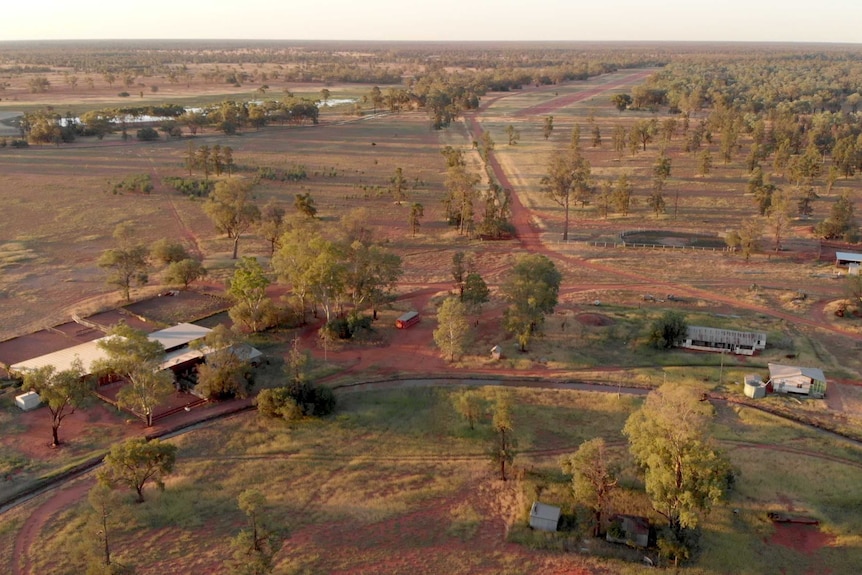 A property in the afternoon with grass and a bit of dirt