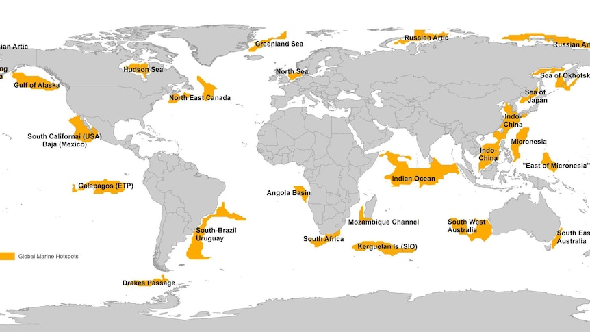Global marine hotspots map