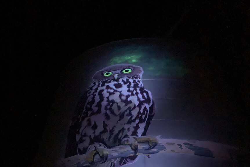 an owl painted on the silo glows surrounded by dark sky. Night photograph.