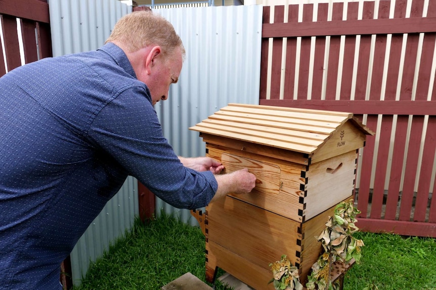 Musician Graeme Connors leans over to open a hatch on a beehive.