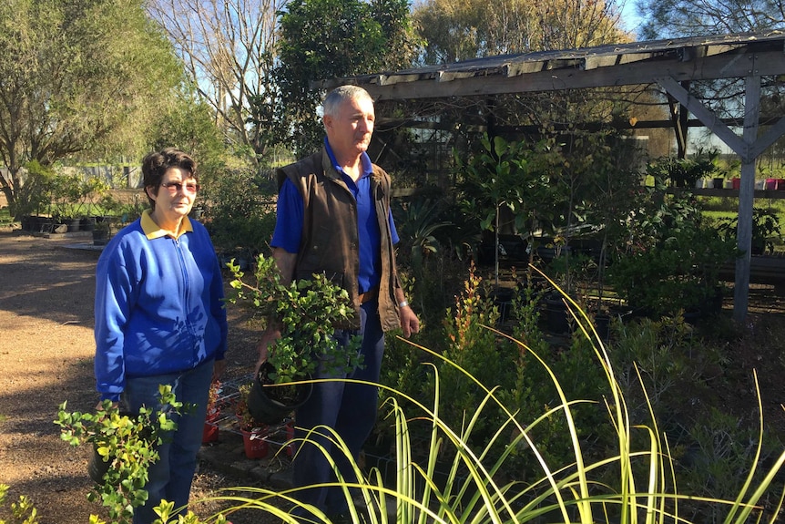 Lindsay and Ann Clout run a garden centre five kilometres from the Williamtown RAAF base.