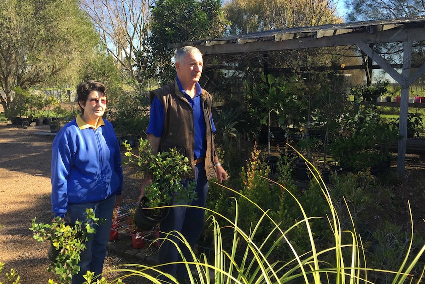 A couple walking around a garden centre