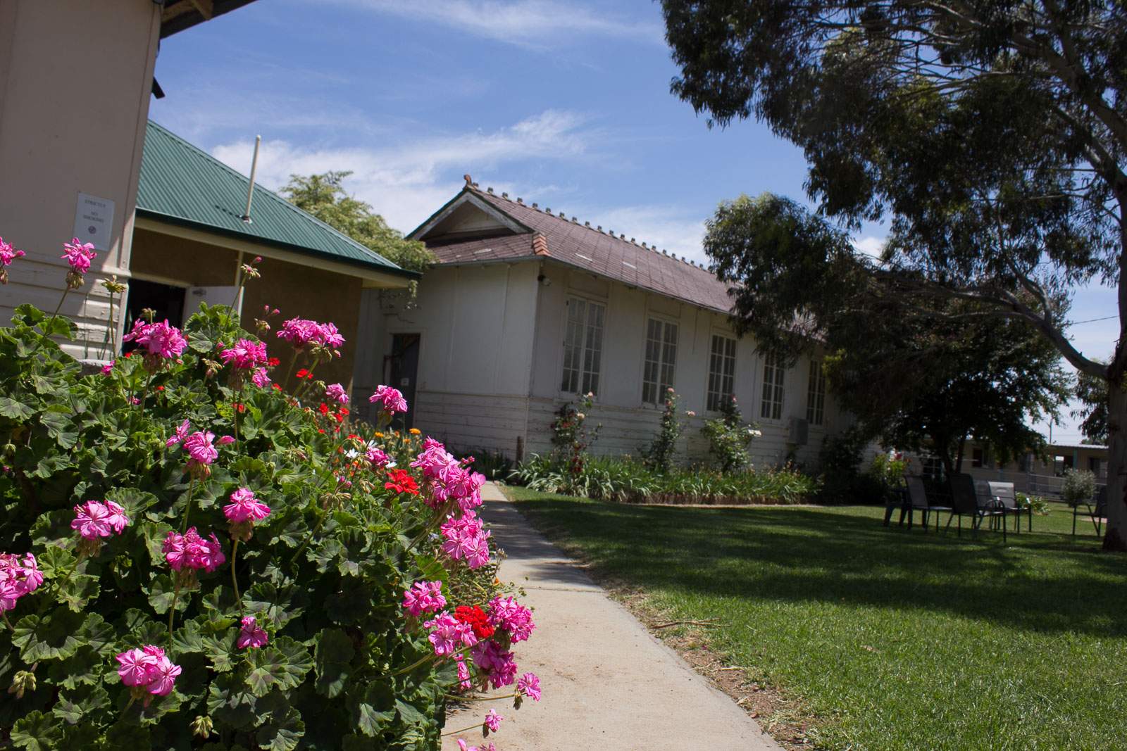 Roses and rehab at Lyndon House Canowindra three decades of drug and