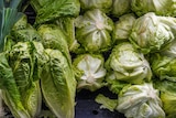 Vegetable display, leek, lettuce, fresh produce grocery display