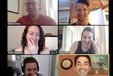 A video call window with lots of faces on it