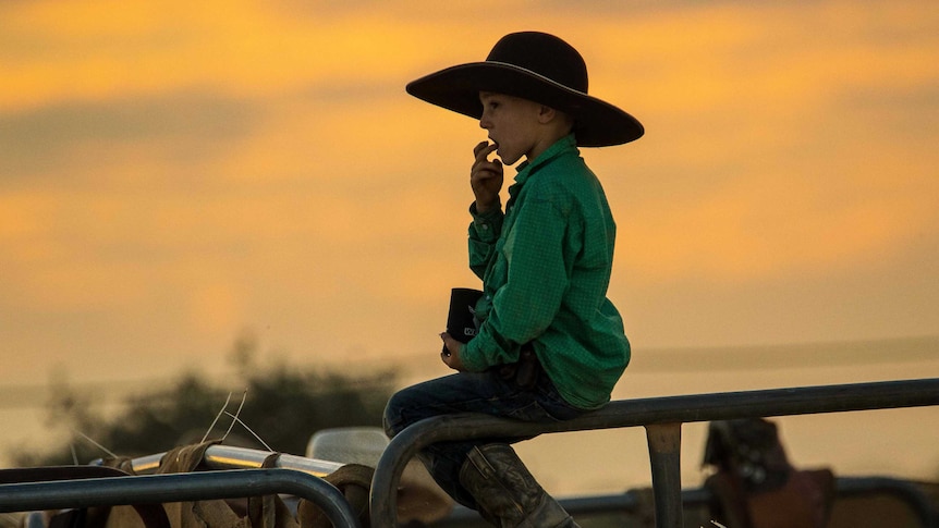Young boy wearing cowboy hat at sunset