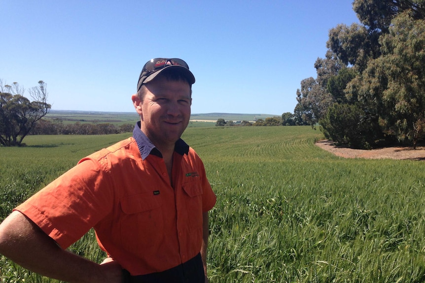 Man standing in paddock