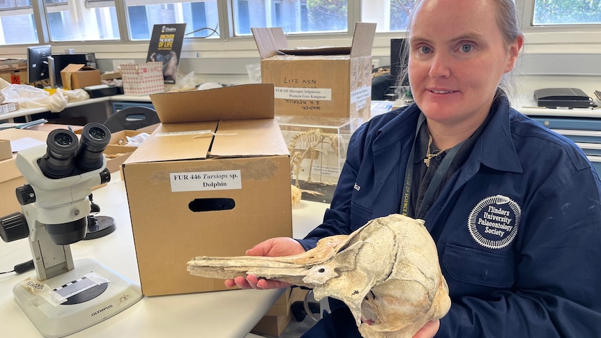 woman holding a dolphin skull