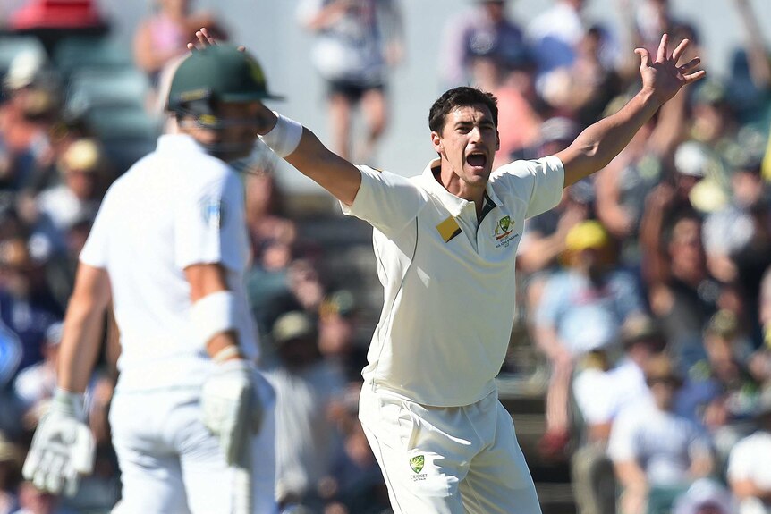 Mitchell Starc appeals unsuccessfully for the wicket of Stephen Cook