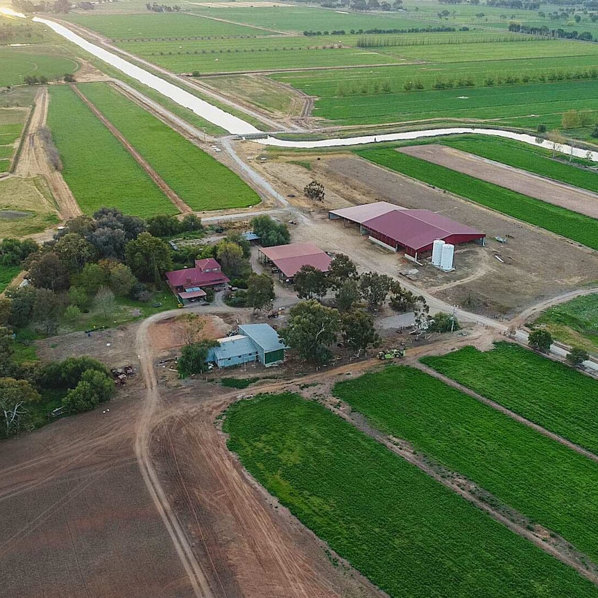 A bird's eye view of a former dairy farm at Katunga, that now grows lucerne instead.