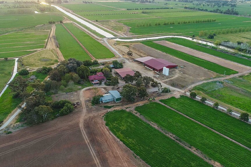A bird's eye view of a former dairy farm that now grows lucerne instead.