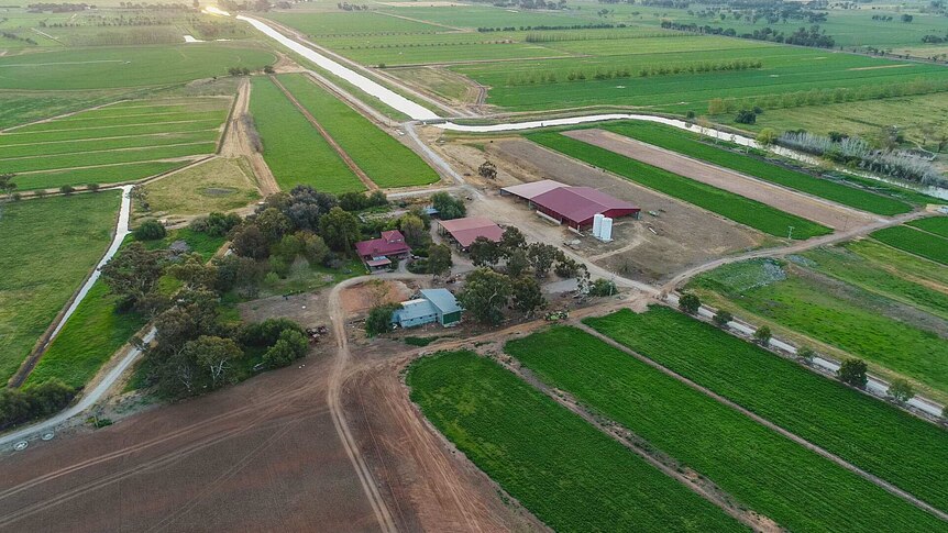 A bird's eye view of a former dairy farm that now grows lucerne instead.