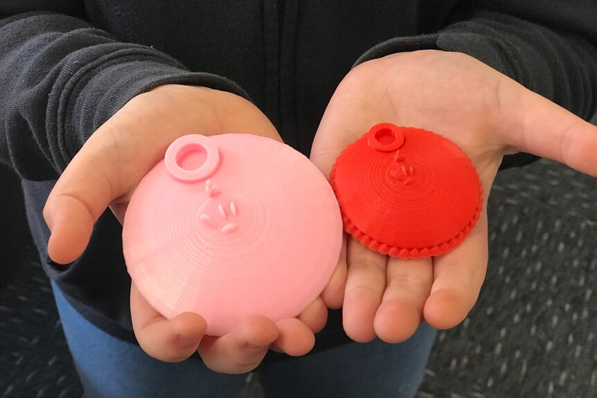 A pink disc and a red disc held by a young student.