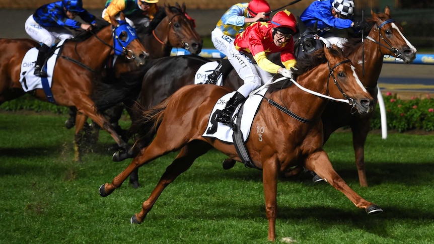 Extreme Choice wins the Moir Stakes