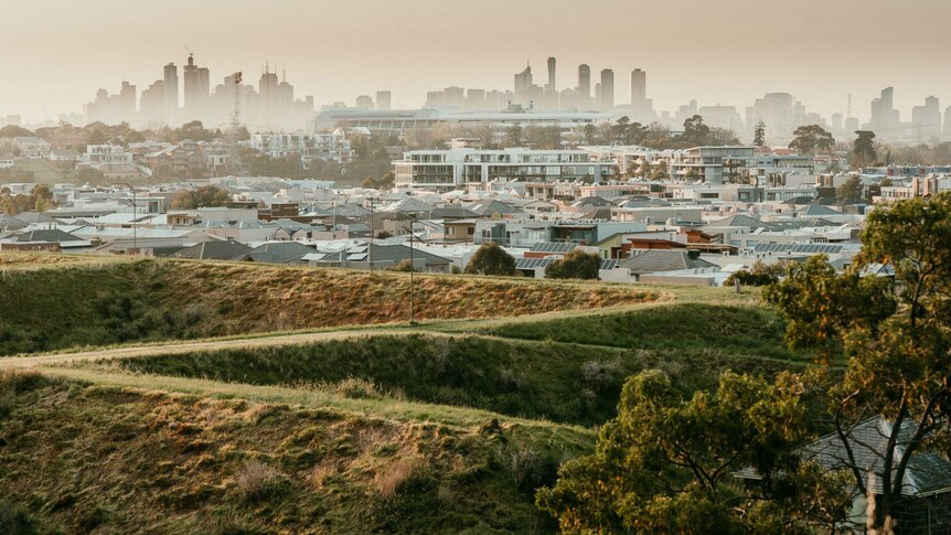 Large grassy mounds surrounded by houses with a CBD skyline in the background.