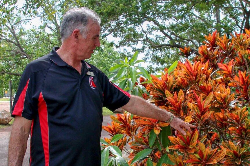 Russell points at a bush with orange and red leaves
