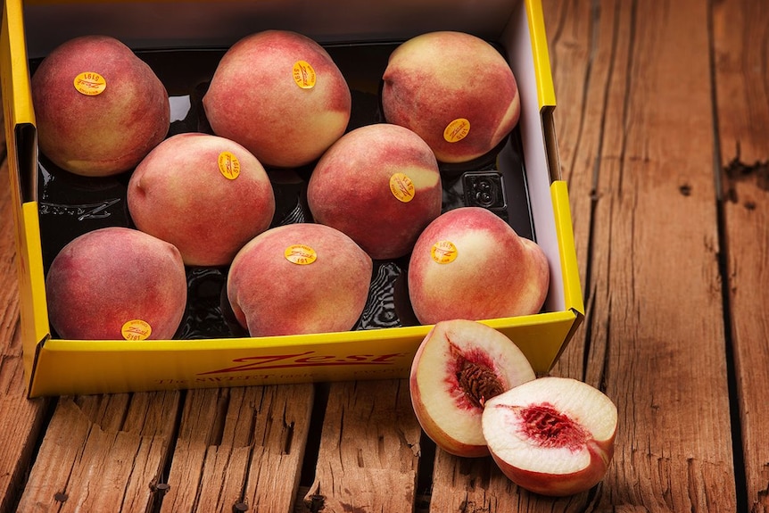 White flesh peaches stores in a box.