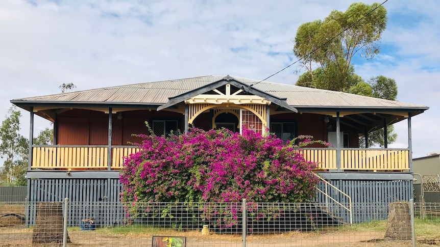 A big, old, blue, orange and yellow Queenslander sits on stilts behind a purple bougainvillea