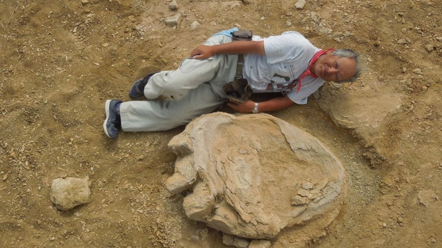 Professor Shinobu Ishigaki lies next to a dinosaur footprint discovered in the Gobi Desert.