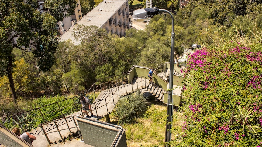 Exercisers on Jacob's Ladder, Perth, February 9, 2015.