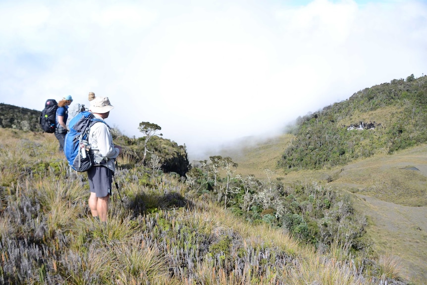 Trekkers on descent on Mt Giluwe