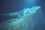 An underwater image of the wreck of HMAS Sydney II.