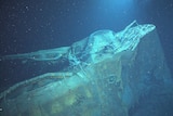 An underwater image of the wreck of HMAS Sydney II.