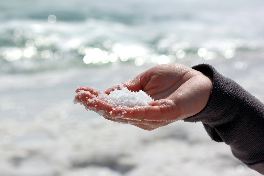 A person's hand holding a pile of salt