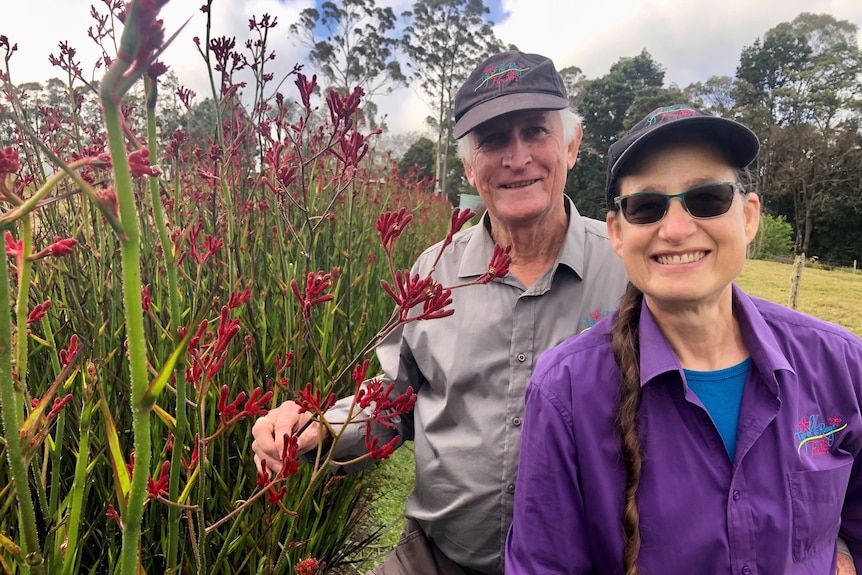 A couple smile at the camera standing next to Kangaroo Paw flowers