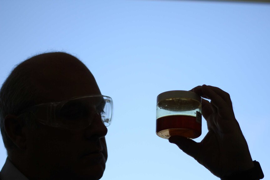 Ken Dods inspecting a honey sample