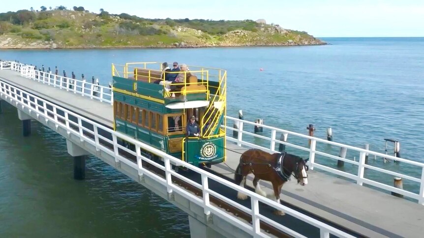 horse pulling a green and yellow tram with passengers sitting on top