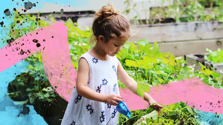 Small girl in a white dress stands at a raised garden bed full of green leafy plants to depict kid-friendly gardening activities