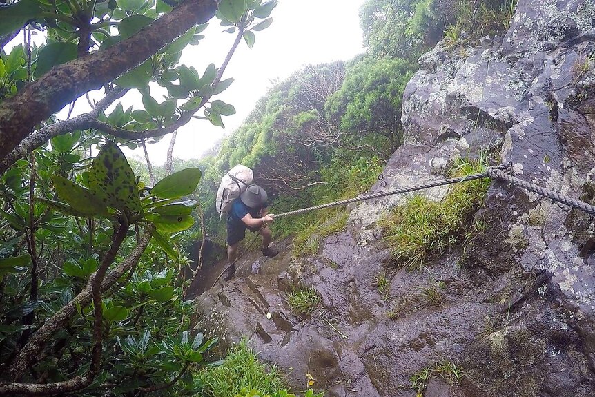 A man climbs up steep rocks with the use of a rope on a rainy day.