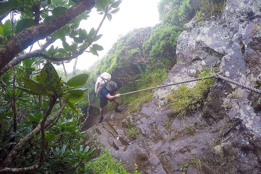 A man climbs up steep rocks with the use of a rope on a rainy day.